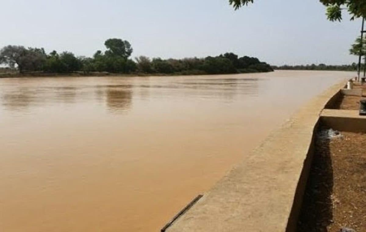 Crue du fleuve Sénégal : la décrue se confirme, vigilance maintenue à Podor et Richard-Toll